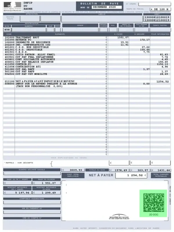 Civil servant pay slip