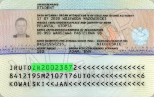 Vérification permis de séjour polonais (Karta pobytu), numéro de document verso