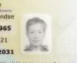 Check a Dutch ID card online back ghost photo Check a Dutch ID card online back ghost photo