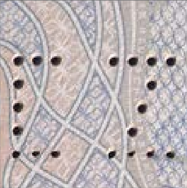Verify a German passport, laser-perforated serial number (Ref. [2])