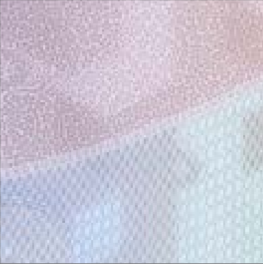 Verify a German passport, security printing (Ref. [2])