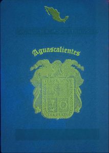 Verify a Mexican passport online, fluorescent overprint
