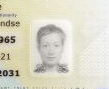 Consultar la foto frontal del documento de identidad holandés en línea Consultar la foto frontal del documento de identidad holandés en línea
