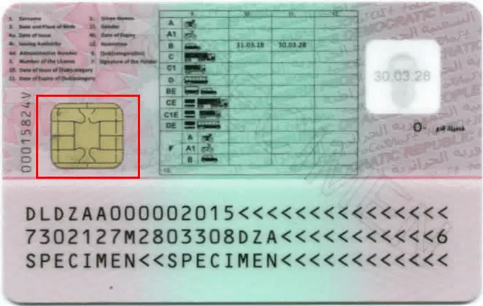 Comprobar el permiso de conducir argelino, chip electrónico Comprobar el permiso de conducir argelino, chip electrónico